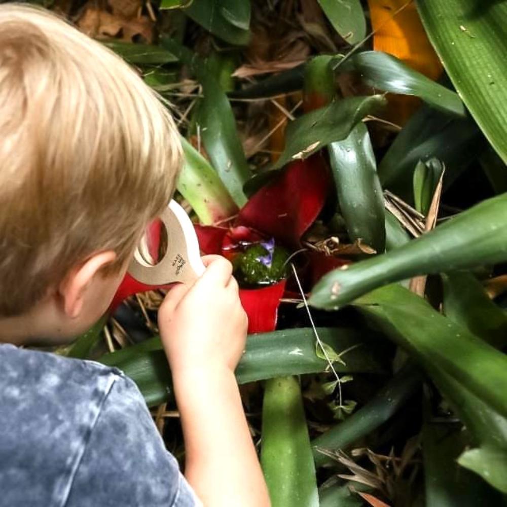 Make Me Iconic wooden leaf-shaped magnifying glass for kids, designed to inspire outdoor exploration and nature play. Features a safe plastic lens, sturdy wooden body, and carry loop and is perfect for backyard adventures and early science learning.