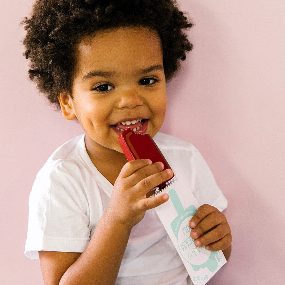 ICONIC TOY - AUSTRALIAN ICE CREAMS MELT