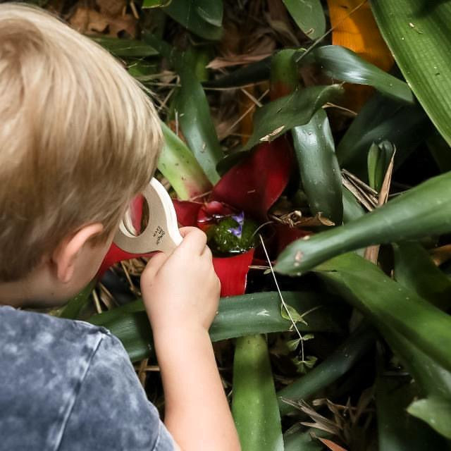 ICONIC TOY - LOOSE CHANGE LEAF MAGNIFY GLASS