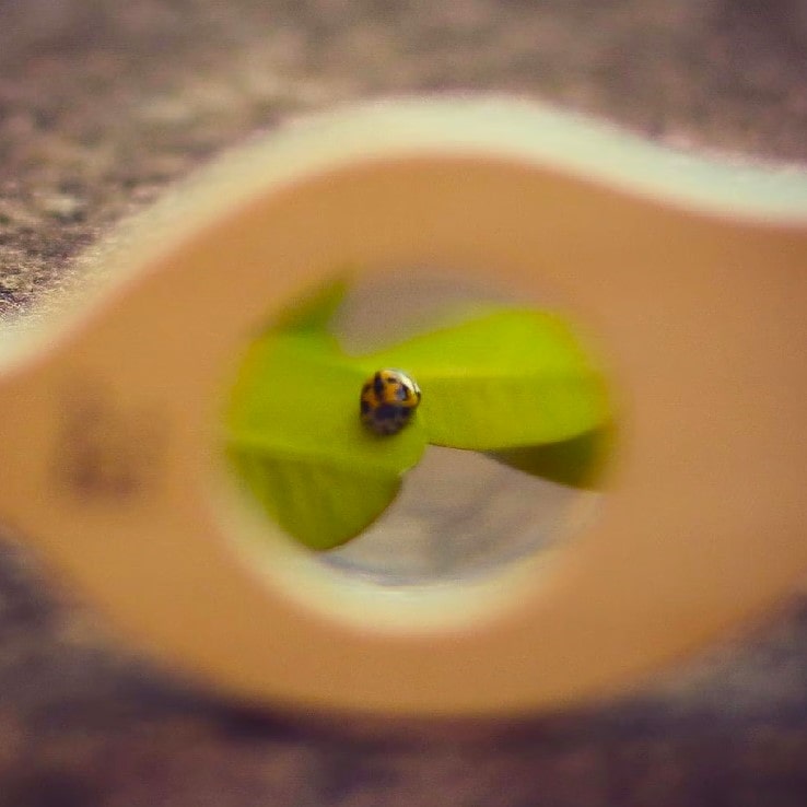 Wooden leaf-shaped magnifying glass for kids, designed to inspire outdoor exploration and nature play. Features a safe plastic lens, sturdy wooden body, and carry loop—perfect for backyard adventures and early science learning.